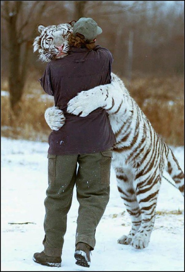 Ah un calin avec un pti minou, c'est agréable... Enfin, ça doit pas être hyper rassurant avec ce genre de gros gros minous ! height=